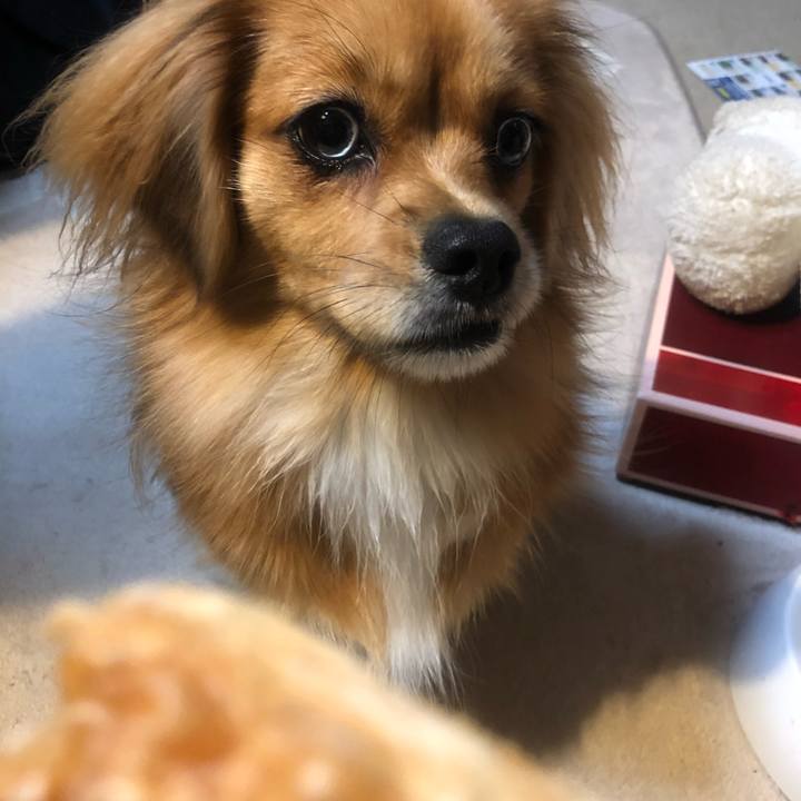 25948fe0 9027 4654 9b4e d89a74e2062f 1540589882291