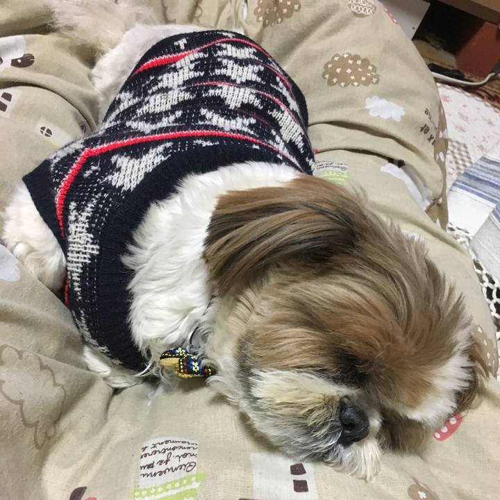 2594b6c6 362f 48da 862e 731e900becd8 1514553142776