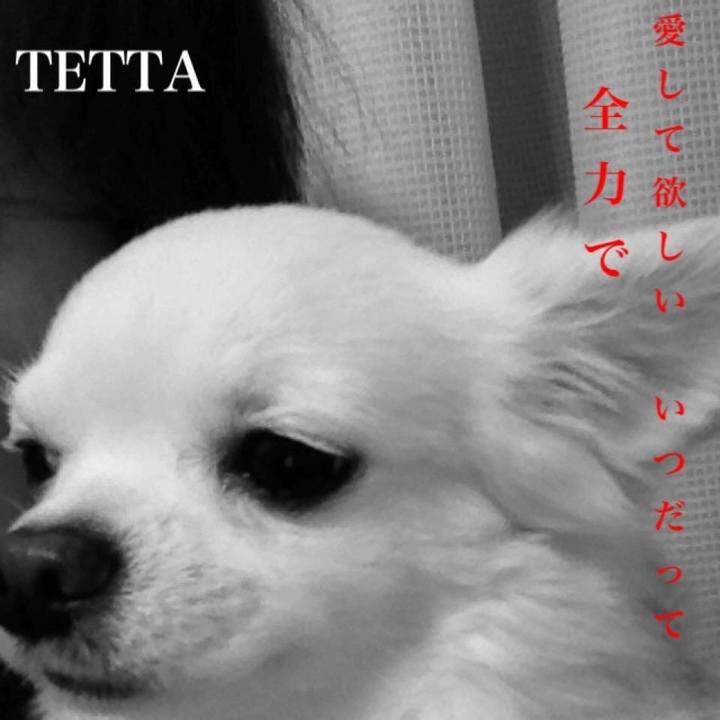 2594c6f9 665a 471c b64d 300b2871e505 1524179779986