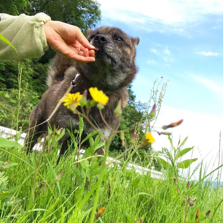 2594d3a0 c0d1 4041 89da 7daa6623b41b 1560836141914