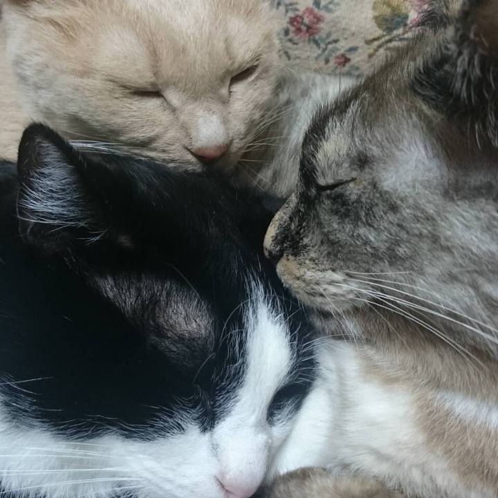 25951919 9705 4738 a141 79feb0c9758c 1563686688272