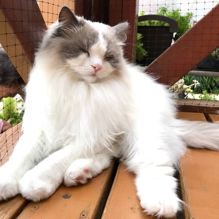 25954f57 332b 47d1 8157 75f3391c3873 1594861151791