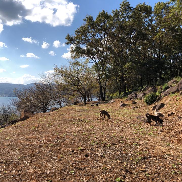 25956188 63fc 4ae2 89cb 6d0809631bec 1573732261593