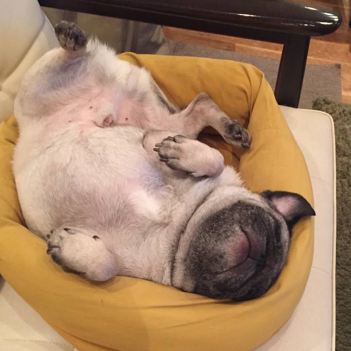 2595988b c3fc 45db 830c ba6be4561ec5 1541597729933