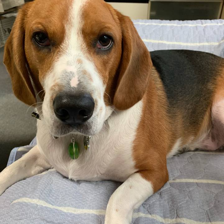 2595ae65 7be3 4404 bf1d d42b1c2d5beb 1572165917935