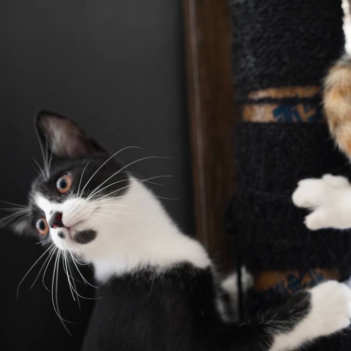 2595b3f0 f43e 49f3 acd4 0f1fb1555e40 1571788545070