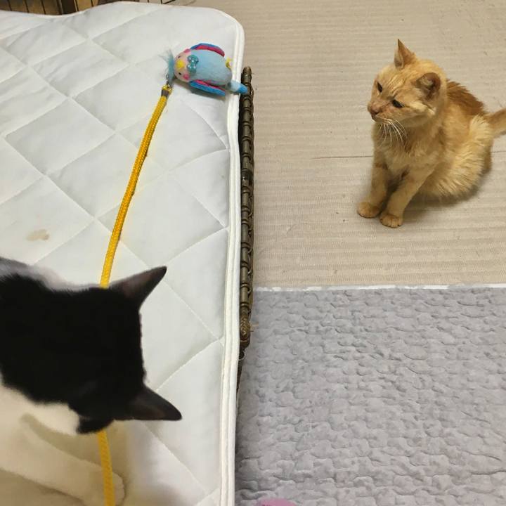 2595bb76 75b2 41ec 9f51 c8dd08bfc0eb 1611806751352