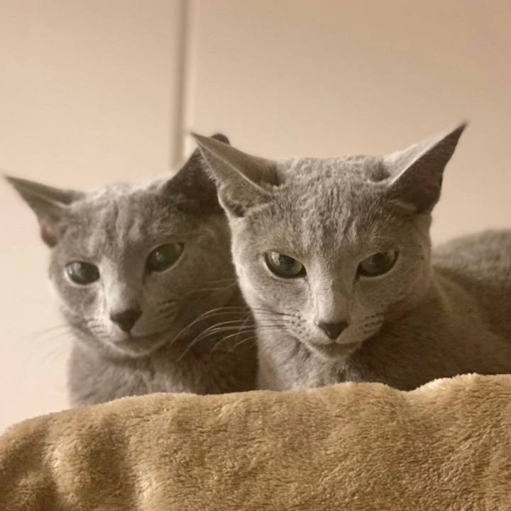 2595c48b 6abb 4ea8 aaa9 626e83aabaf0 1635826873103