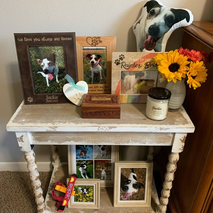 2595ce57 cc27 41ec b403 9df4d8dde5a0 1646345722480