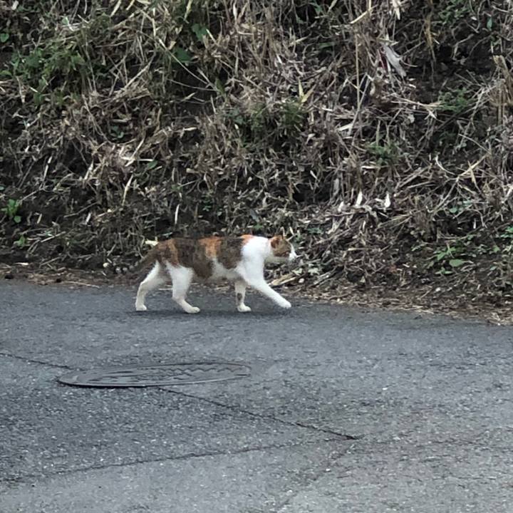 2595ce8e 181e 46e6 b699 36e398d90f1c 1589369678391