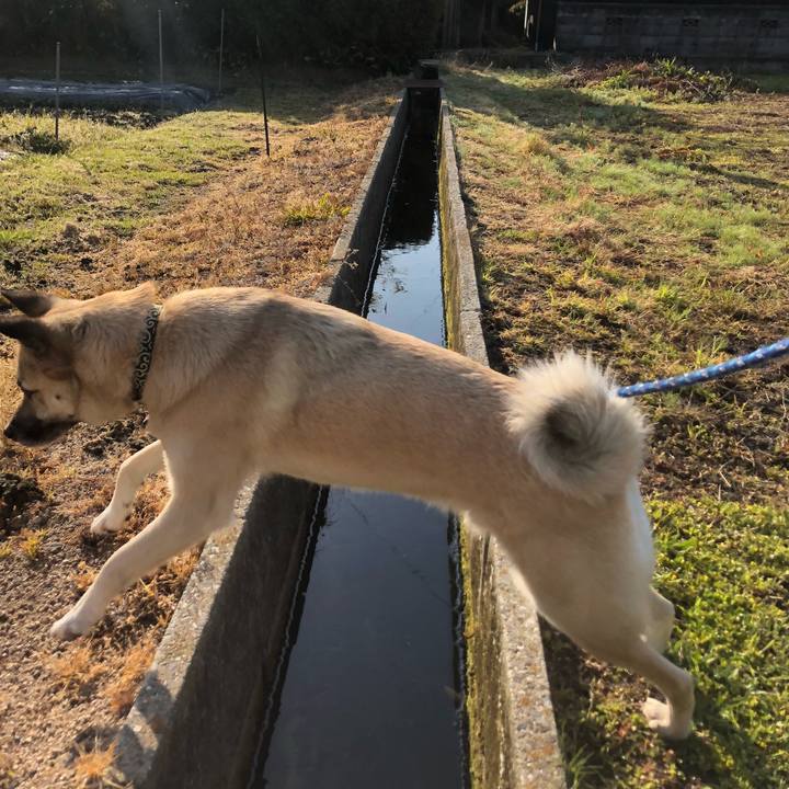 2595df31 e59d 4ea3 af66 10aa0e7092d7 1587036579406