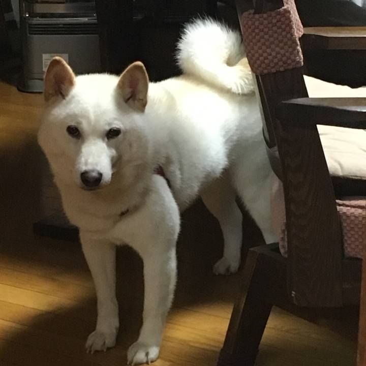 2595f87f 2cb3 42c3 9d79 c1f7796f4d93 1535535990836