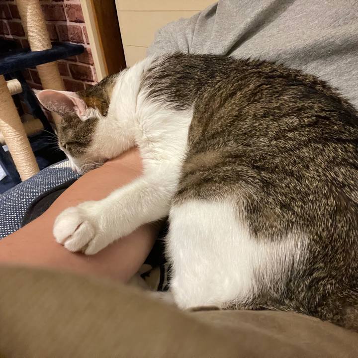 2595fe8d e708 48f6 bf6c 35440e4bcc4f 1627725883623