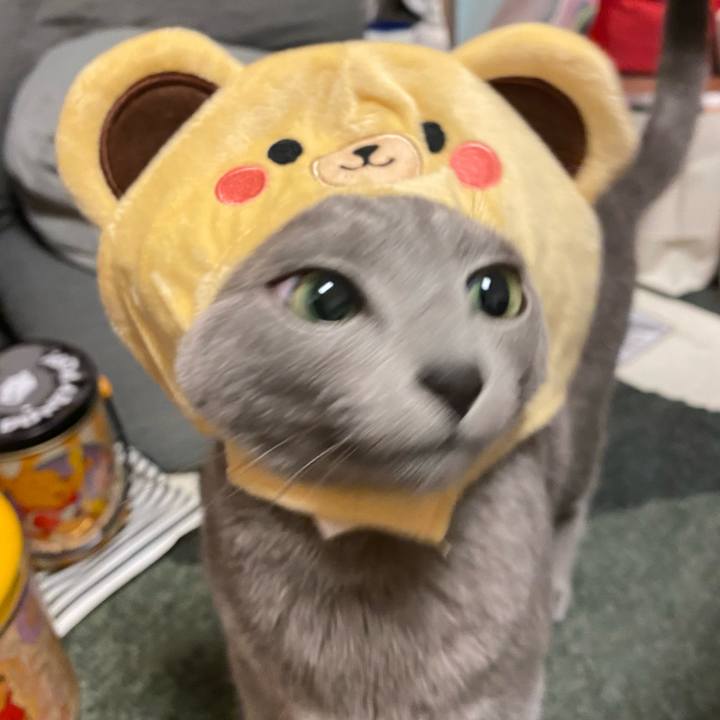 259636c8 d329 4f52 b7a4 bba9440fd706 1638846046279