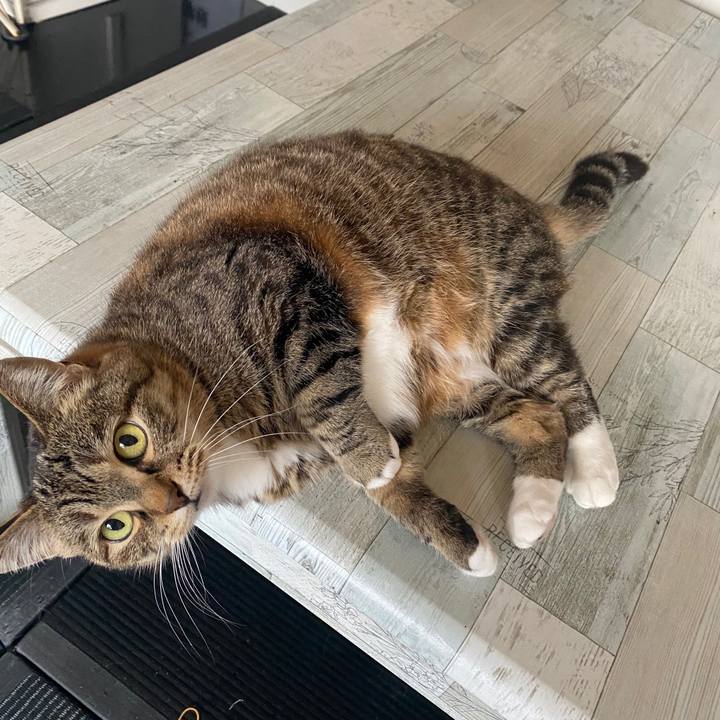 25964db7 5de2 4a7c 8179 9fcb4163274b 1587355501123