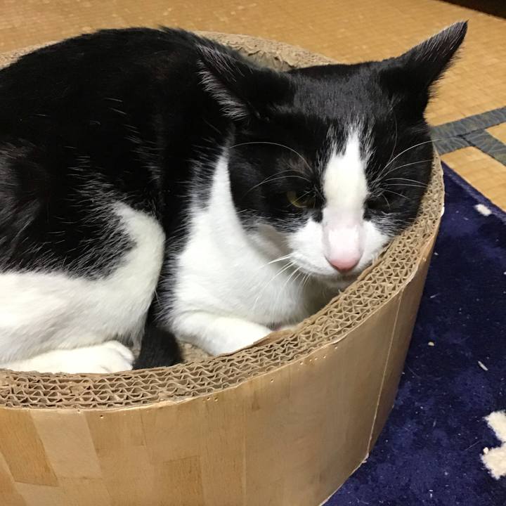 259663a0 8615 4b0a b181 83ddadb1ae8e 1735983928201