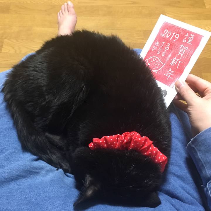 2596ae66 4af0 48cd 866a 1881d4b4c70a 1546331179952