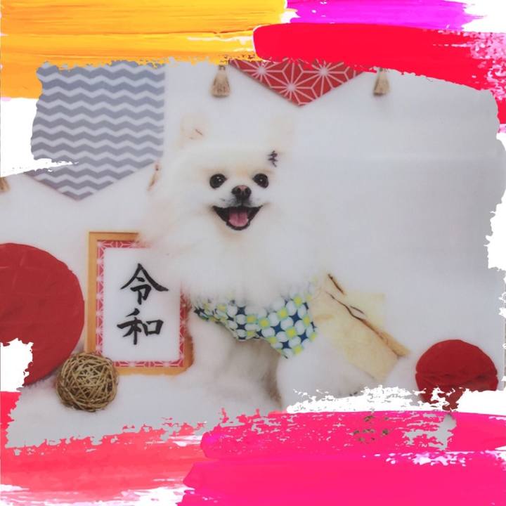 2596b248 04b3 490c 8167 009f9837285f 1572840946733