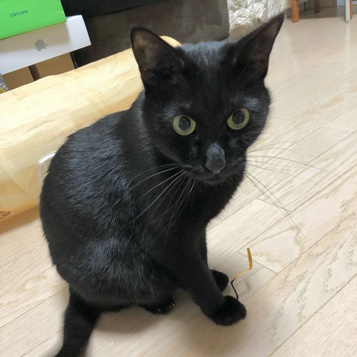 2596bdec c47a 4040 b966 19f8f11594d2 1610024467092