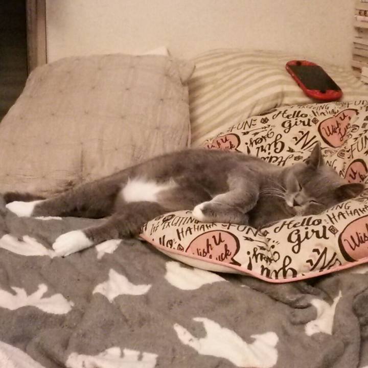 2596df0f be8e 4483 a0b9 6f23706e7443 1539391934351