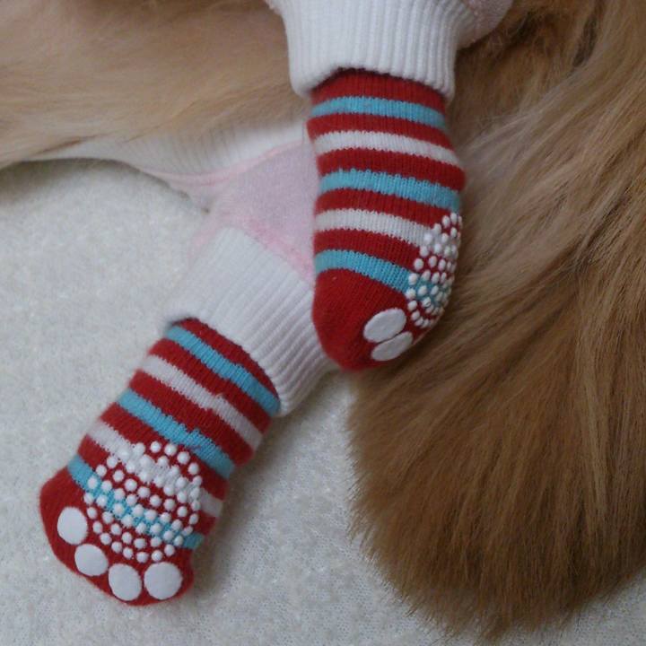 2596f169 d4b4 4b4f 8361 7255390e681f 1609088568988