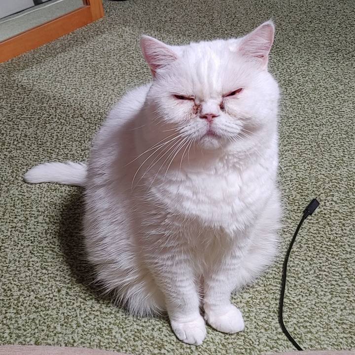 259724df 4223 43d5 94c3 37dfe07de674 1723380212992