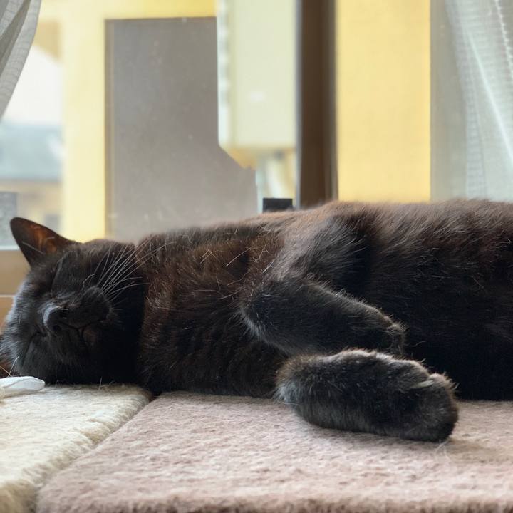 2597312e 2feb 4b47 bc33 d8e89149108e 1596501577084