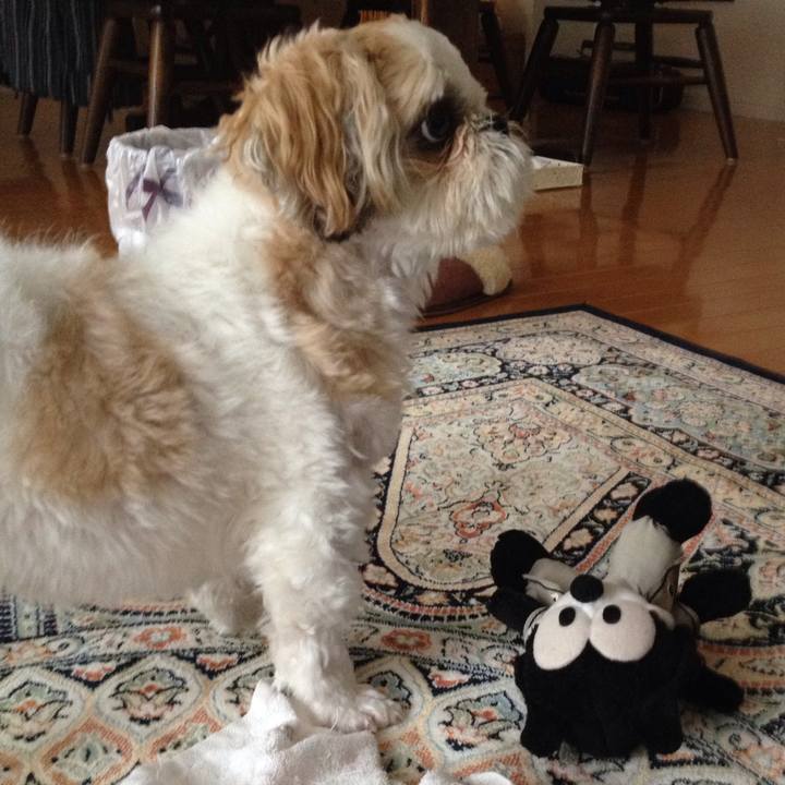 259778bd 8fc1 45d5 b47c e78dcc90e6e7 1512510884105