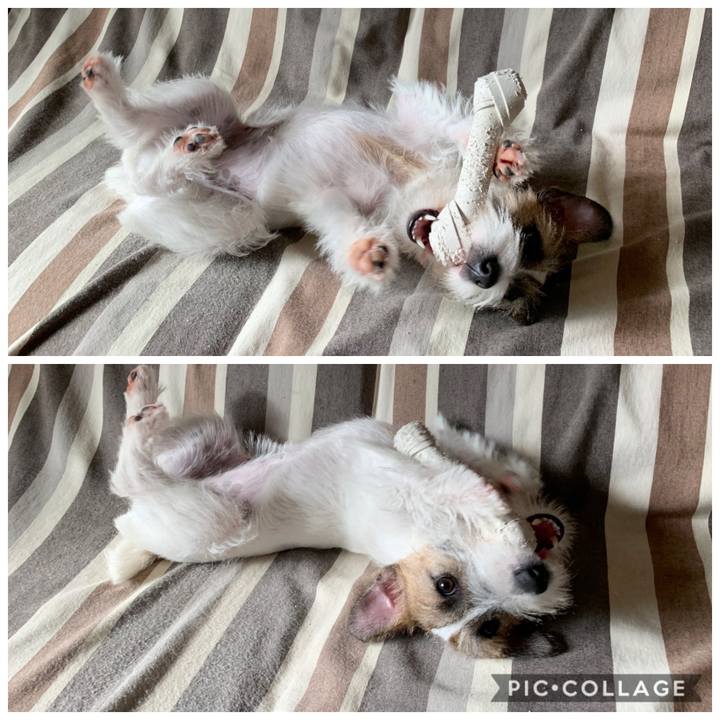 25978e88 d15b 45c0 8ea9 86668e9ffa9a 1573610824534