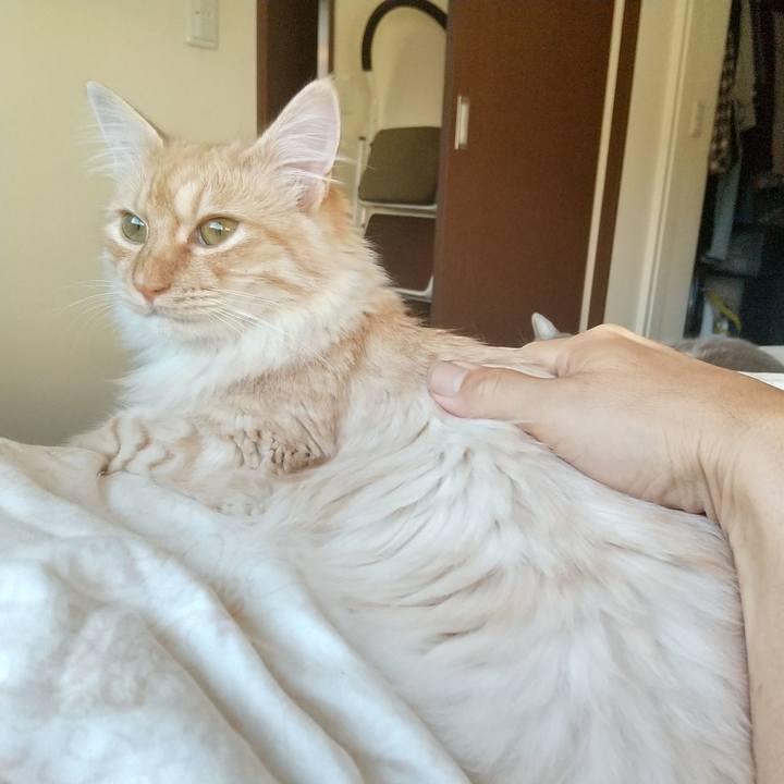 259798b0 55bd 42a5 8ffe 71e9f8b7dcb3 1622496847634