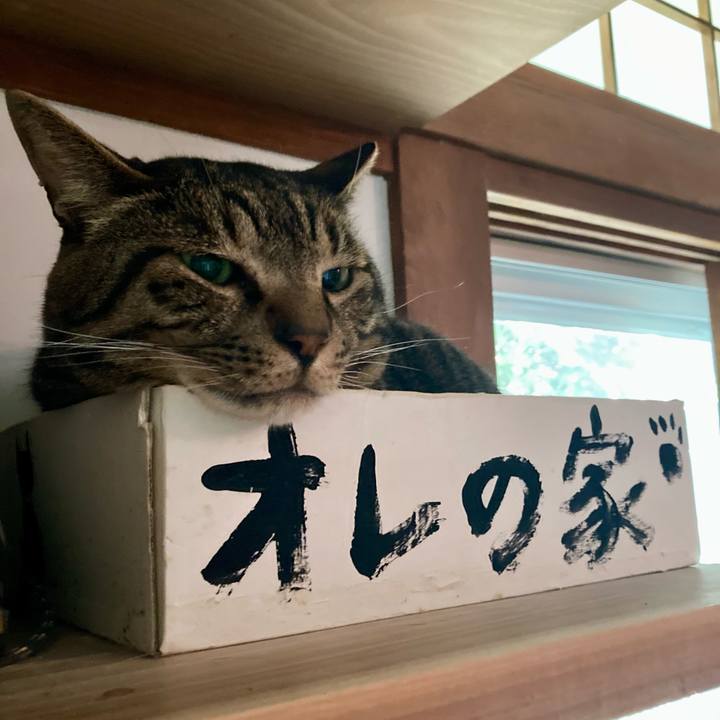 2597a2d1 1896 45d8 a634 6bfc8b1e5beb 1750547687282