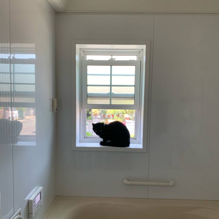 2597bad1 94c7 4ff0 b47d 9fcca665aa13 1591498198124