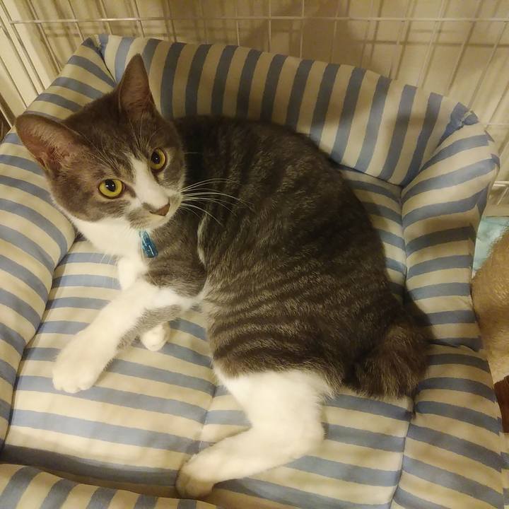 259821e1 52a6 4e73 9591 8cf893122186 1587744617880