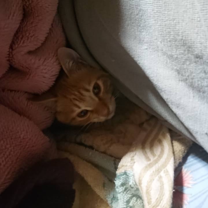 25982e9c d696 4acb 851e 58aba86bf734 1633983888326