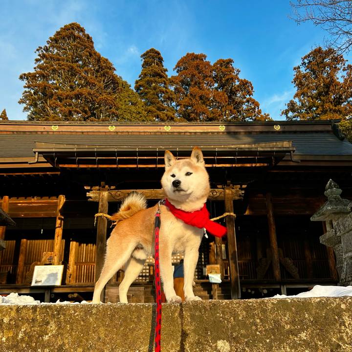 25982ef7 574e 408d 8882 d269d2b3da25 1770375005237