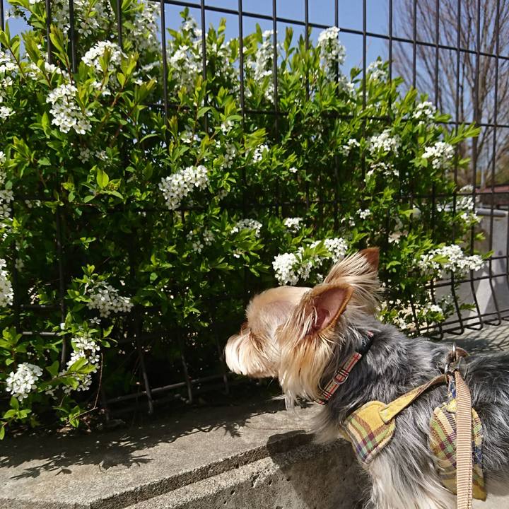 2598522f 9e28 4911 bb0c b971c218e915 1522463639402