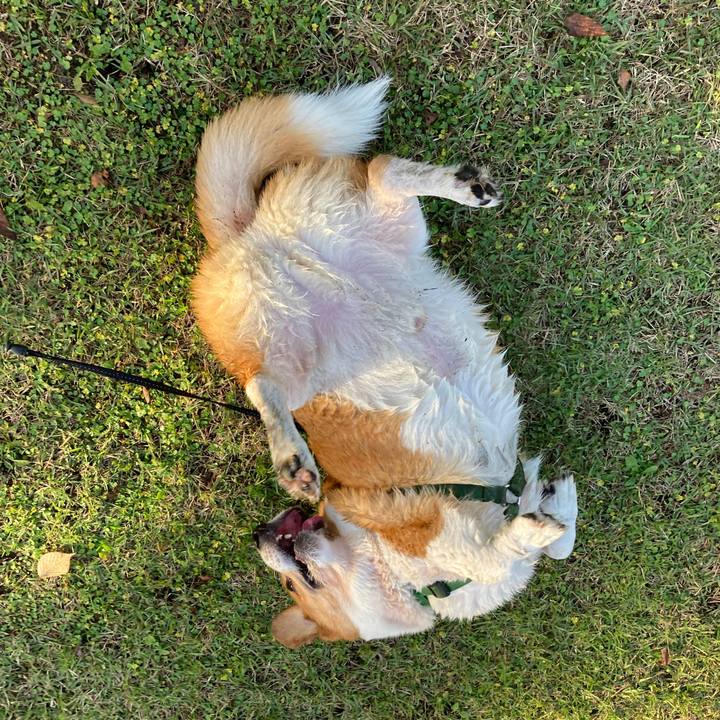 25986305 0606 4149 9981 1a1596b5b6e1 1731838698984