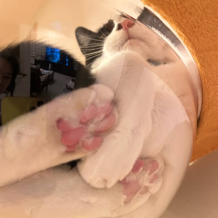 259881a0 f578 4361 b183 c132998e1505 1769935198803