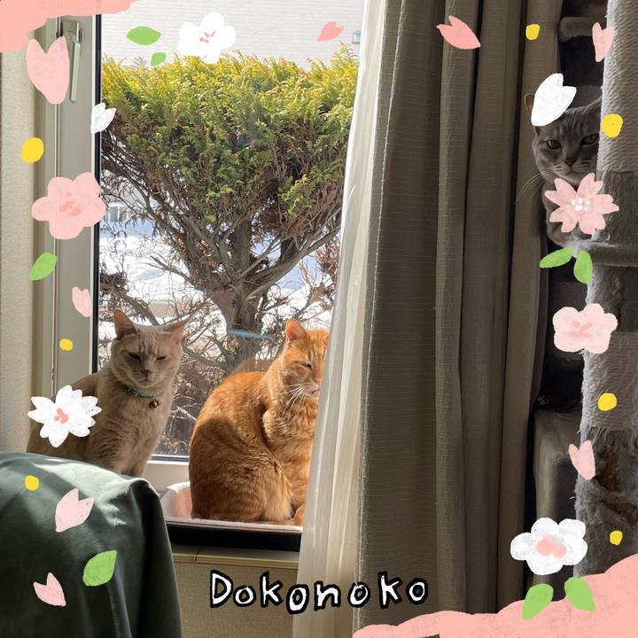 25988784 7dbf 499e 96ac 4b230cee7e48 1711097378880