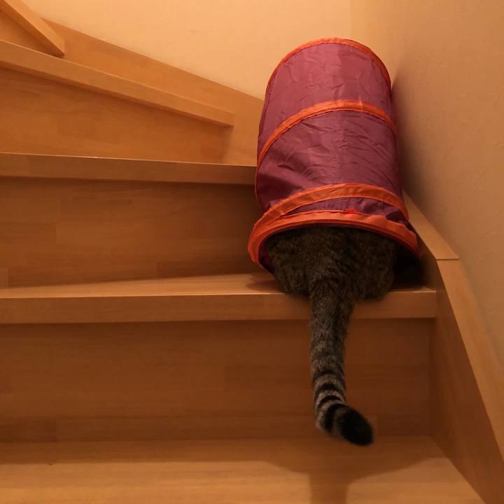 2598a199 f229 4a91 89b7 a90159debba7 1523173369428