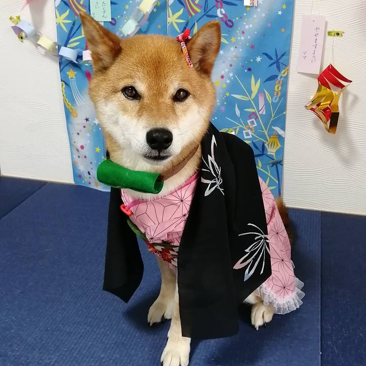 2598a53a c9b5 46cc 86fe e94f0007571c 1594015392061