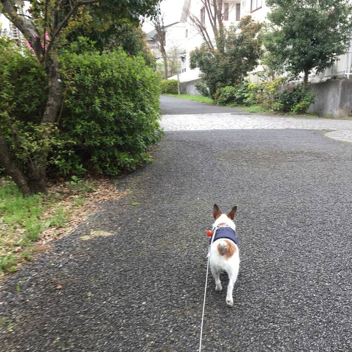 2598d2f2 f68b 4bd3 8b43 df3db9f765b5 1586212827663