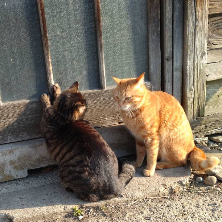 2598fc8a 369a 4b62 9b0e 598647d7dee4 1680559823279