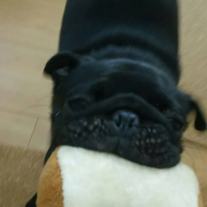 25992350 6045 4489 b1c1 0c1cc6fd2c3e 1532326772083