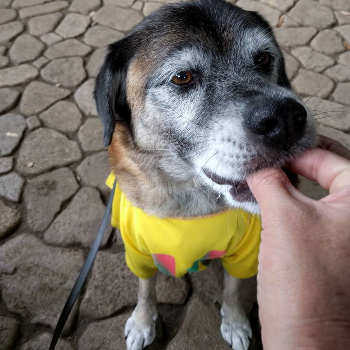 25992378 6222 444e 94f0 17ae0c436133 1540600758790