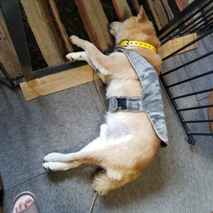 25993675 e63d 4eff 8a6f 72ddedf83913 1676587800502