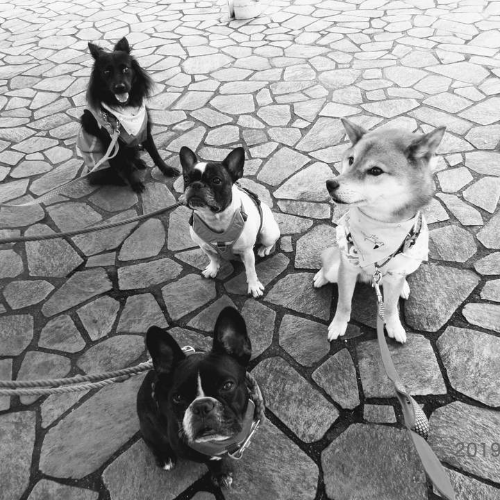 25995826 f569 43c5 b2e8 9673f7c5d5ef 1560089845530