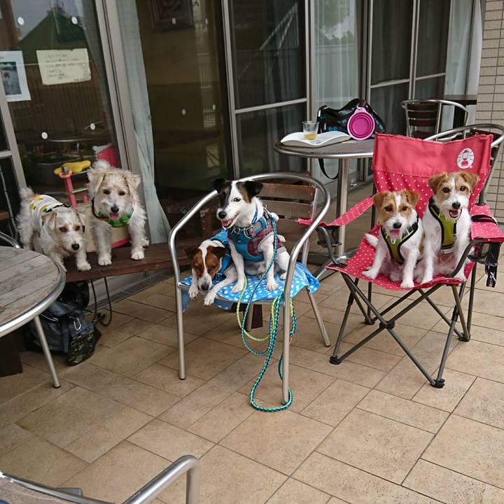 25995a1d 66dd 4378 bfd1 860a92d5ed93 1594179749797