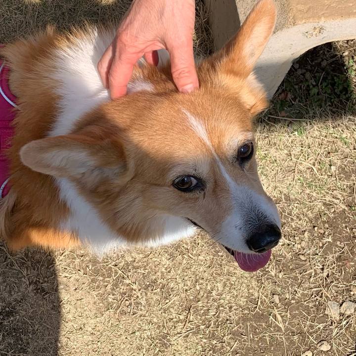 259963c5 e74e 4ac6 913f e968b809004d 1710067811030