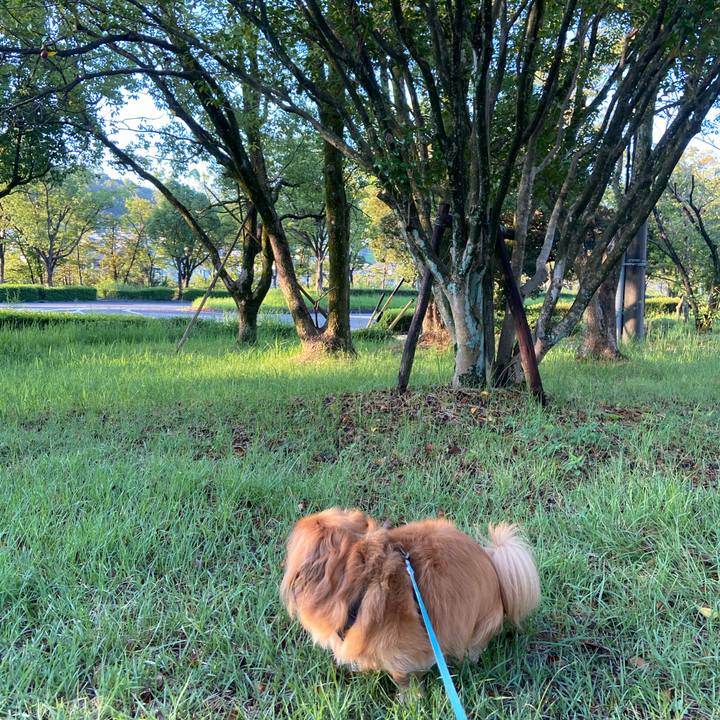 2599e0ea 00c6 4f56 ba4d d5c9f648e908 1598998822032